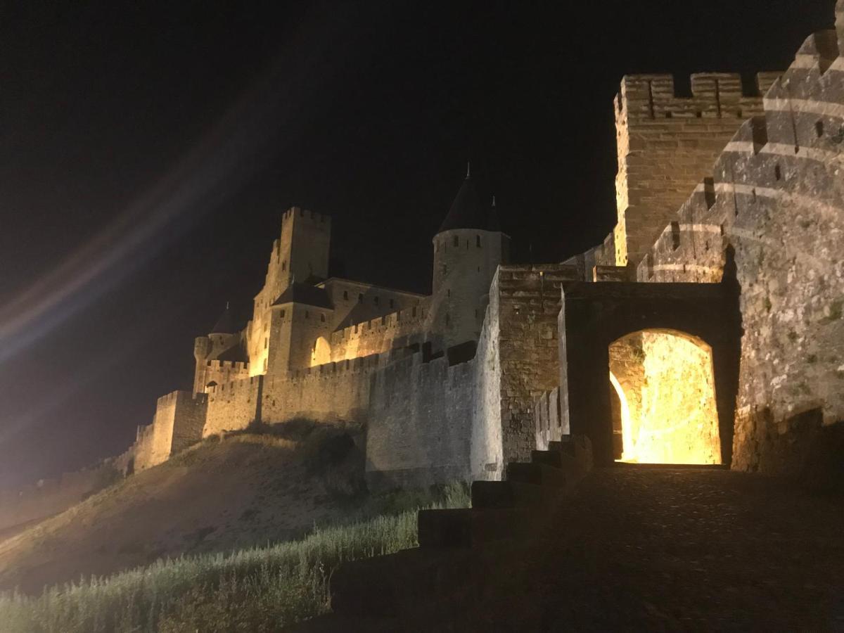 Le Clos Saint Michel Καρκασόν Εξωτερικό φωτογραφία