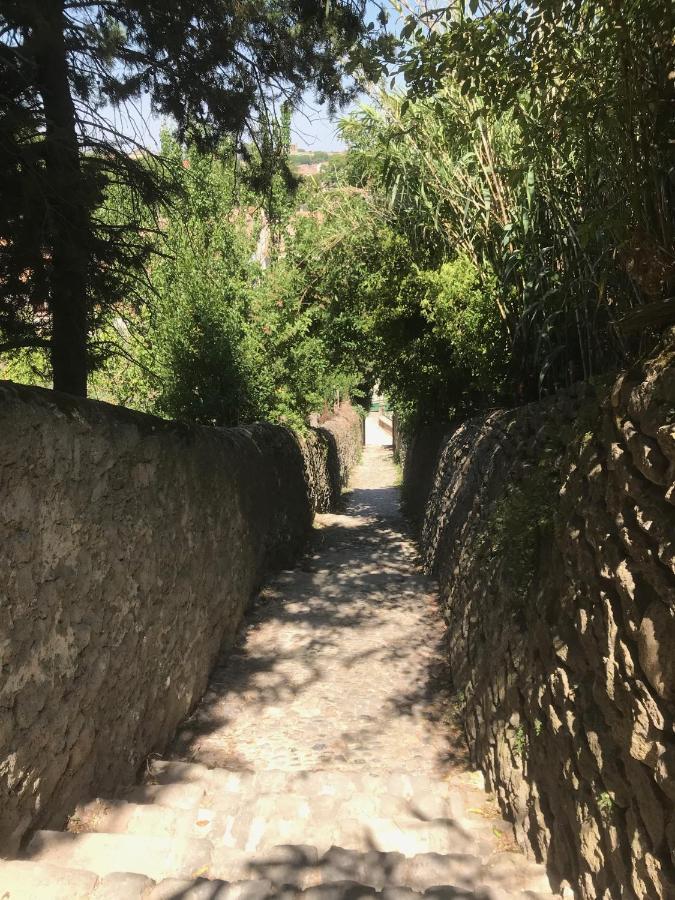 Le Clos Saint Michel Καρκασόν Εξωτερικό φωτογραφία