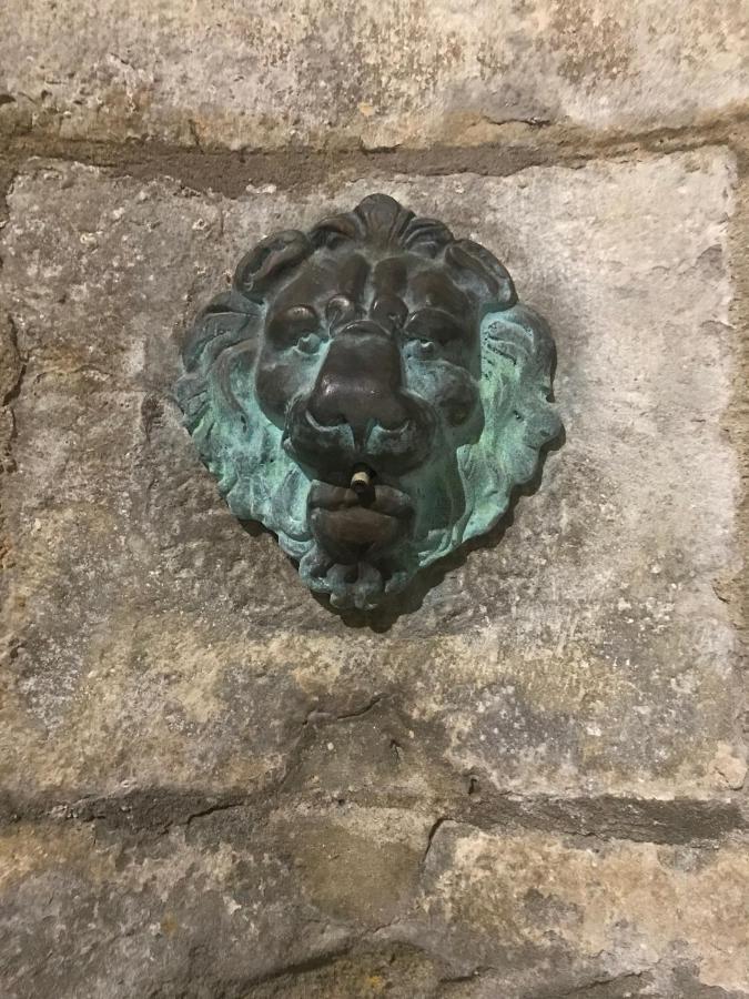 Le Clos Saint Michel Καρκασόν Εξωτερικό φωτογραφία