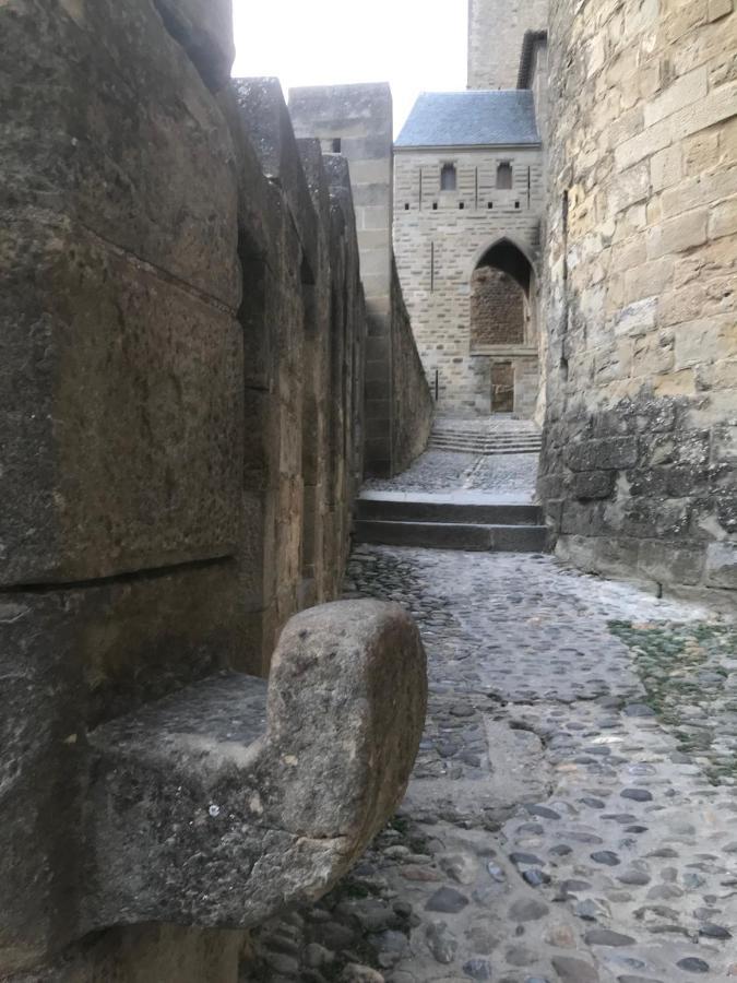 Le Clos Saint Michel Καρκασόν Εξωτερικό φωτογραφία